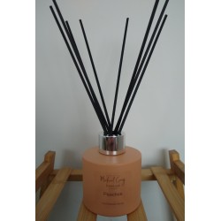 Peaches 100ml Diffuser